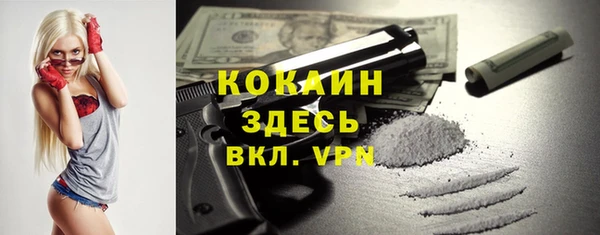 стафф Бородино