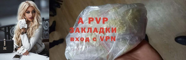 стафф Бородино