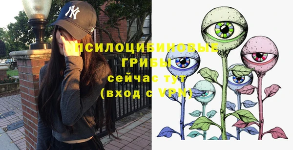 соль ск Бронницы