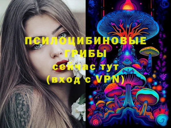 стафф Бородино