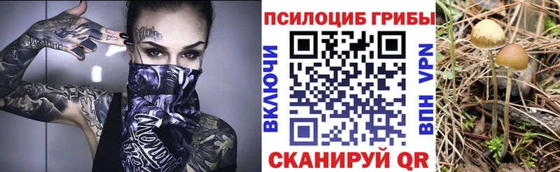 Псилоцибиновые грибы Magic Shrooms  где найти   Южноуральск 